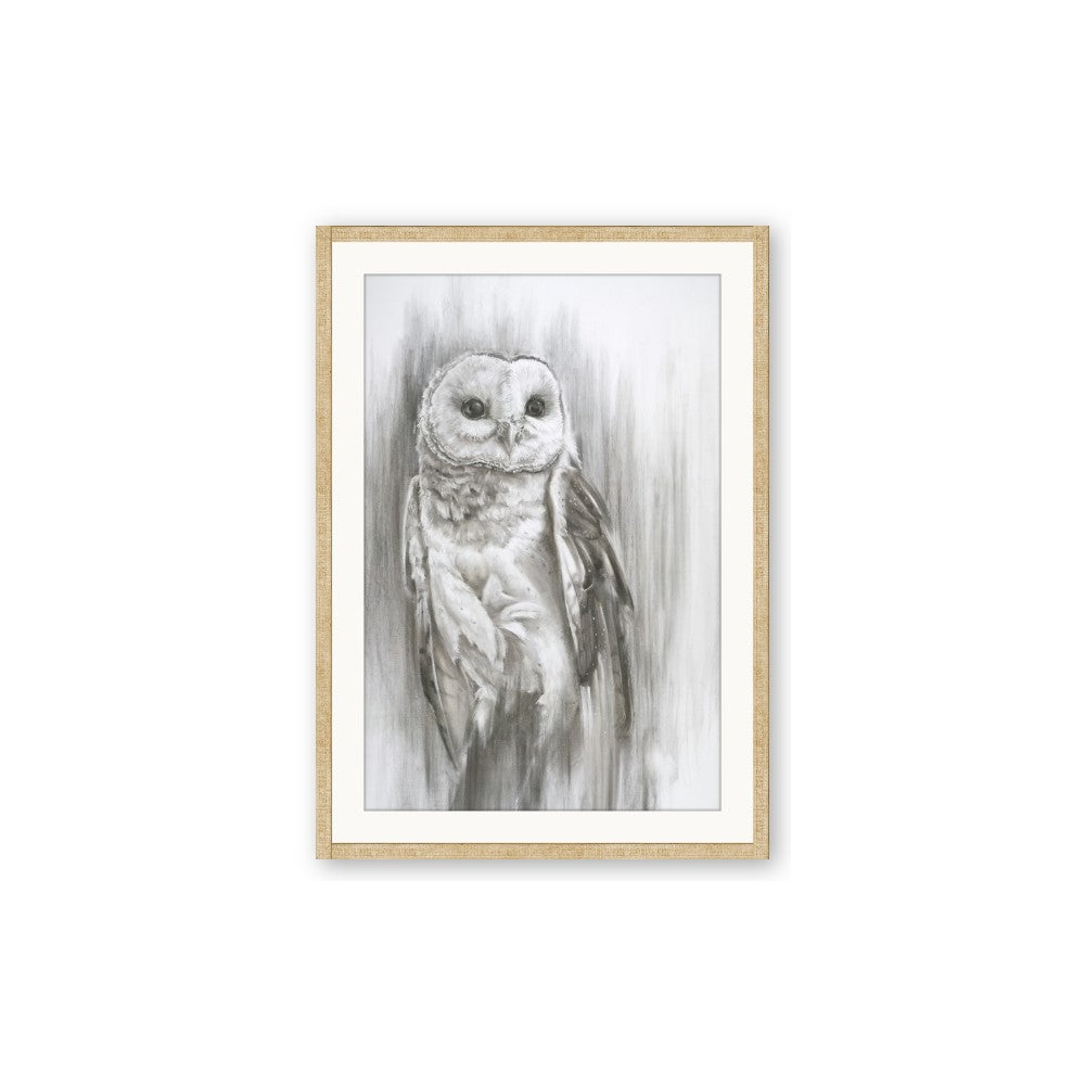 Living Owl