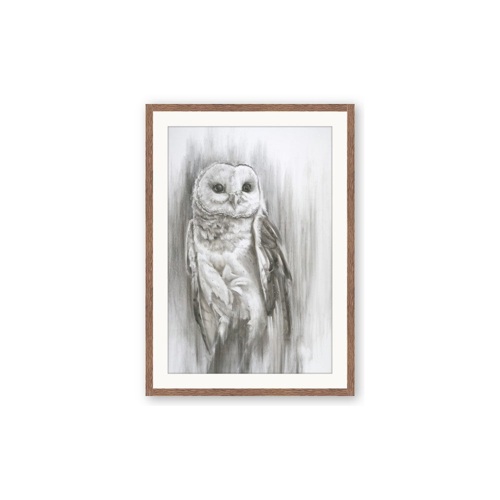 Living Owl