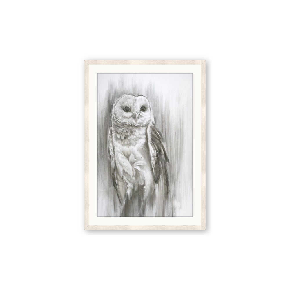 Living Owl