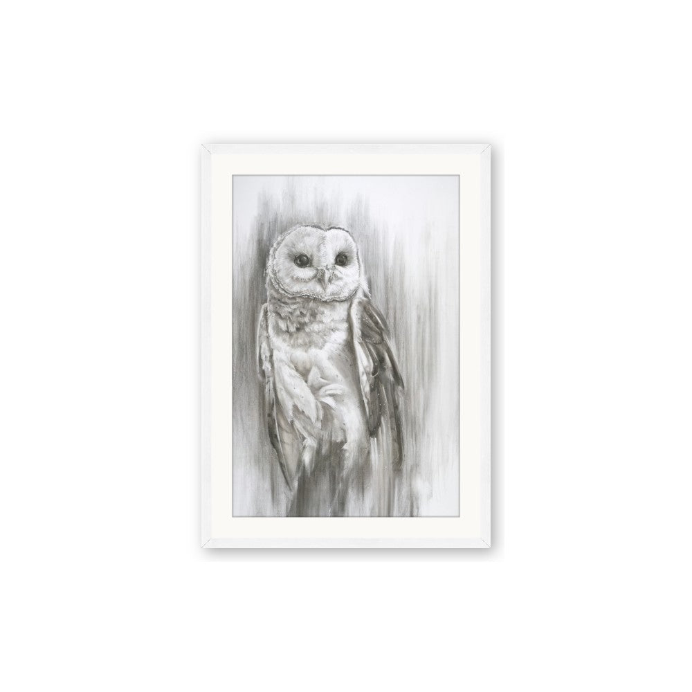 Living Owl
