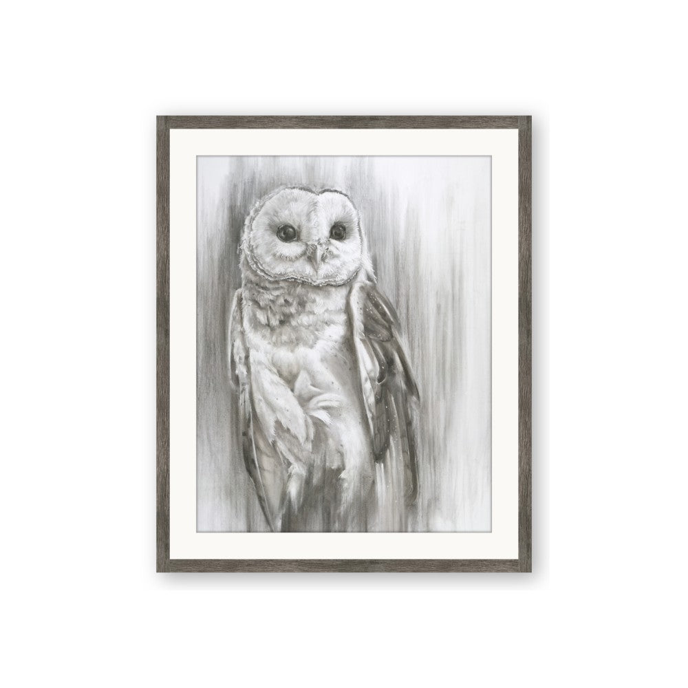 Living Owl