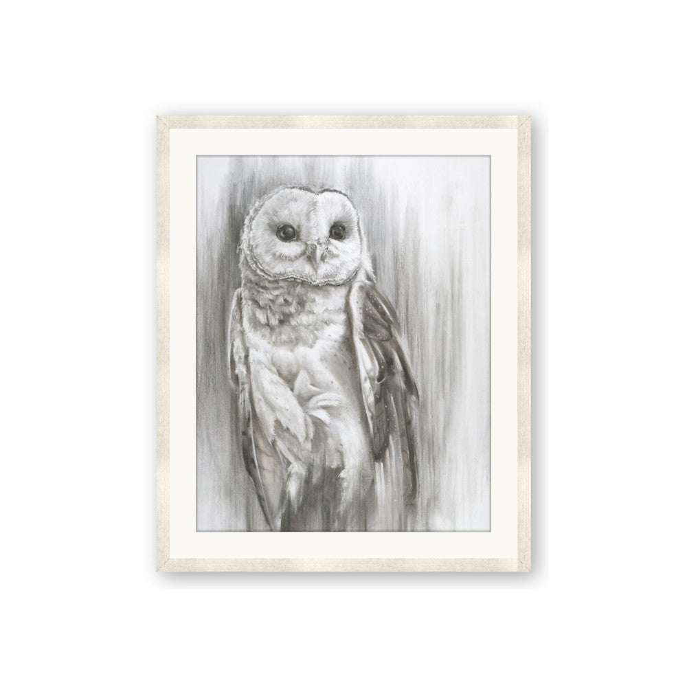 Living Owl