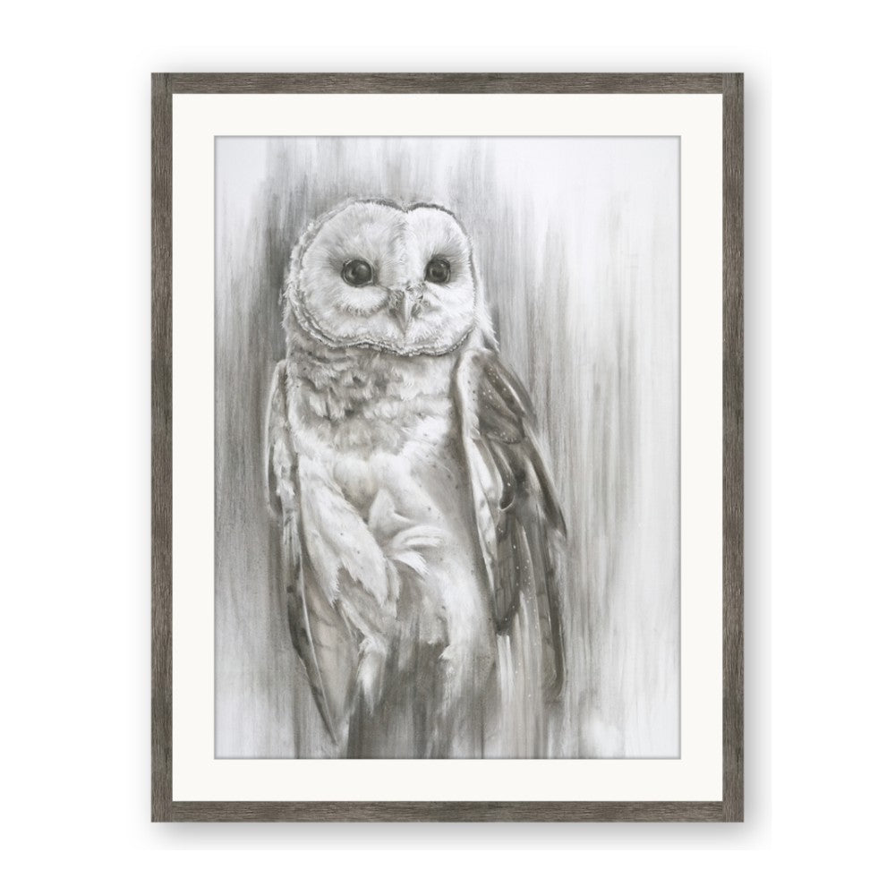 Living Owl