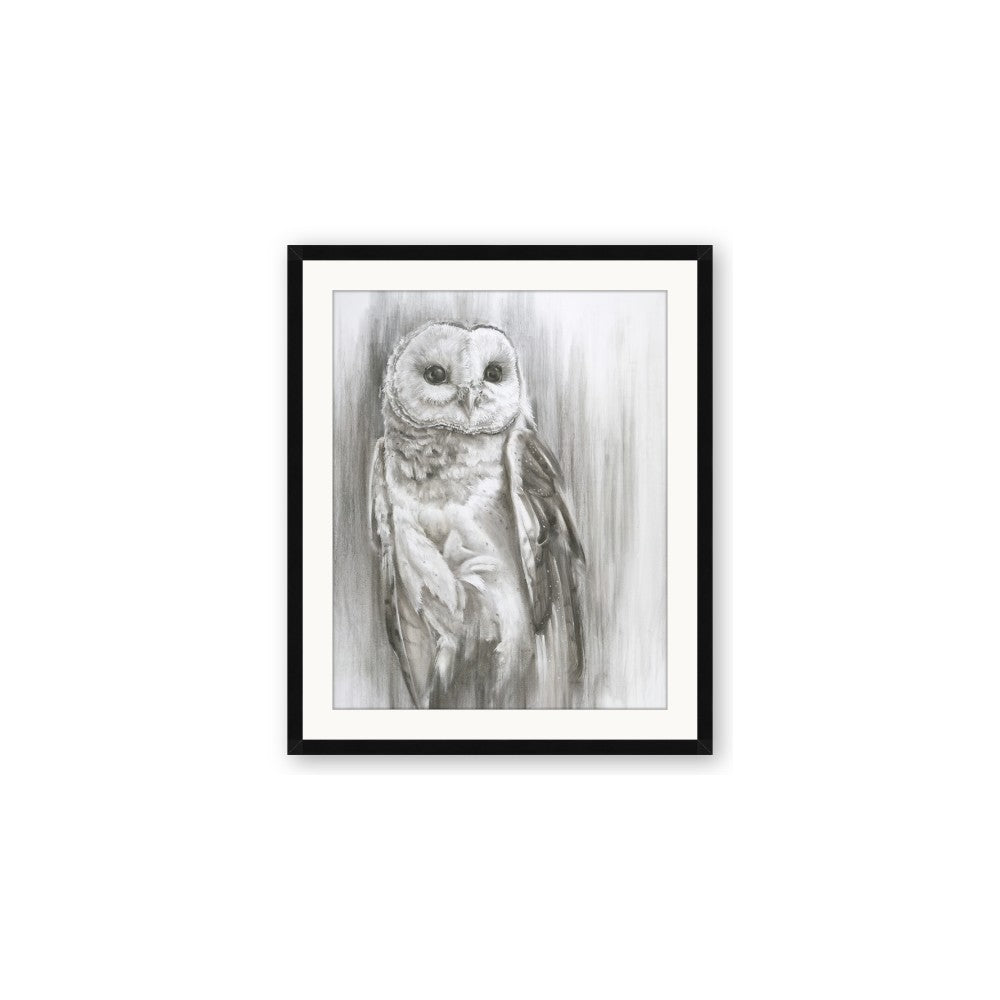 Living Owl