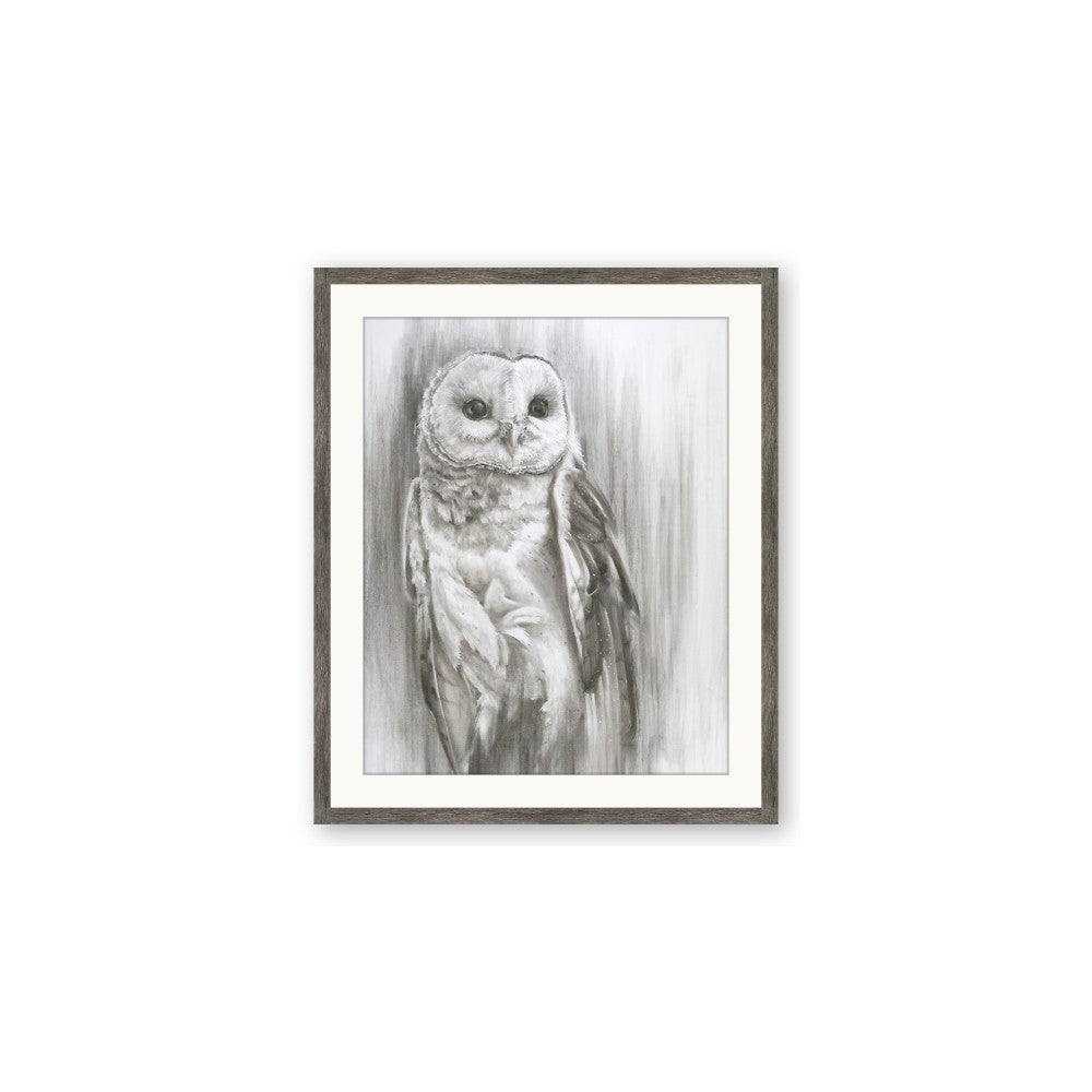 Living Owl