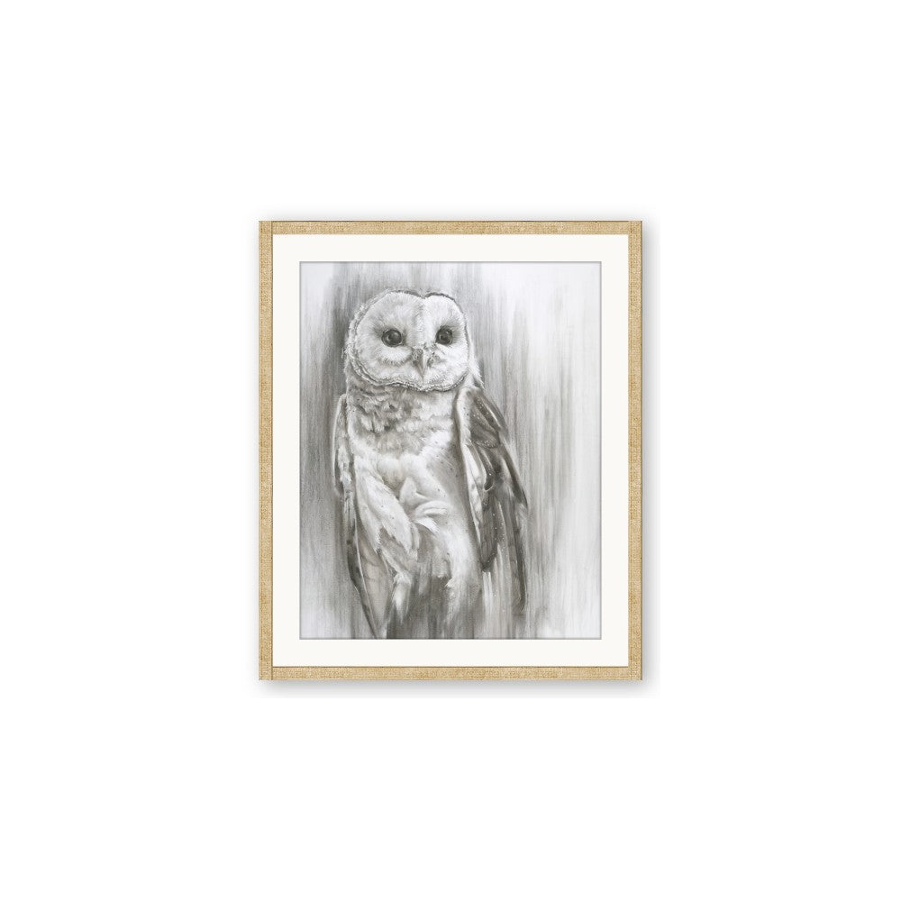 Living Owl