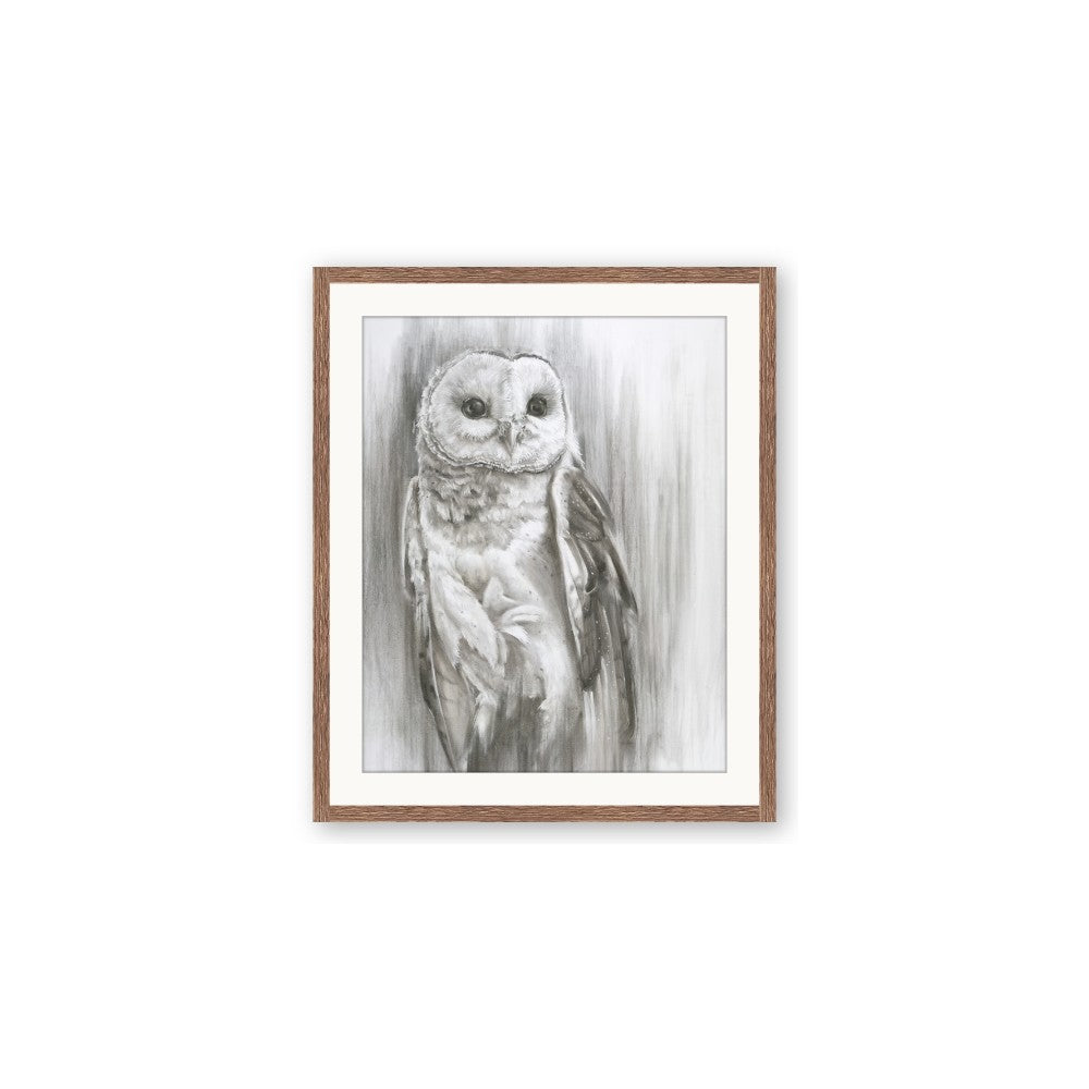 Living Owl