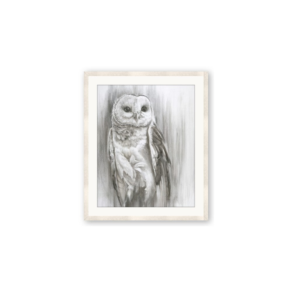 Living Owl