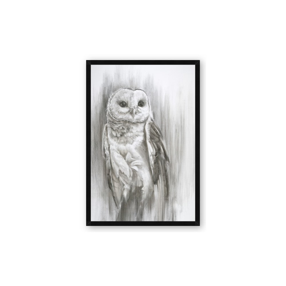Living Owl