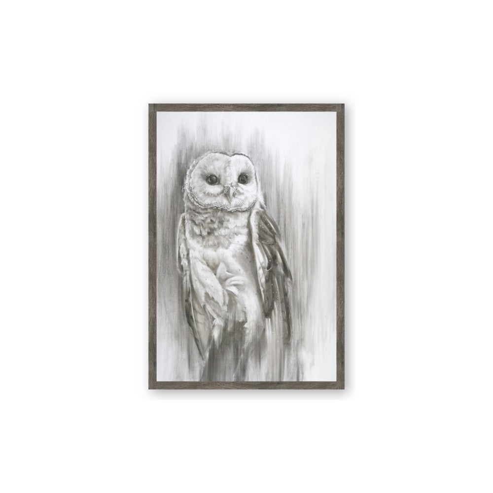 Living Owl