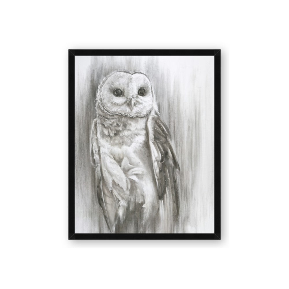 Living Owl