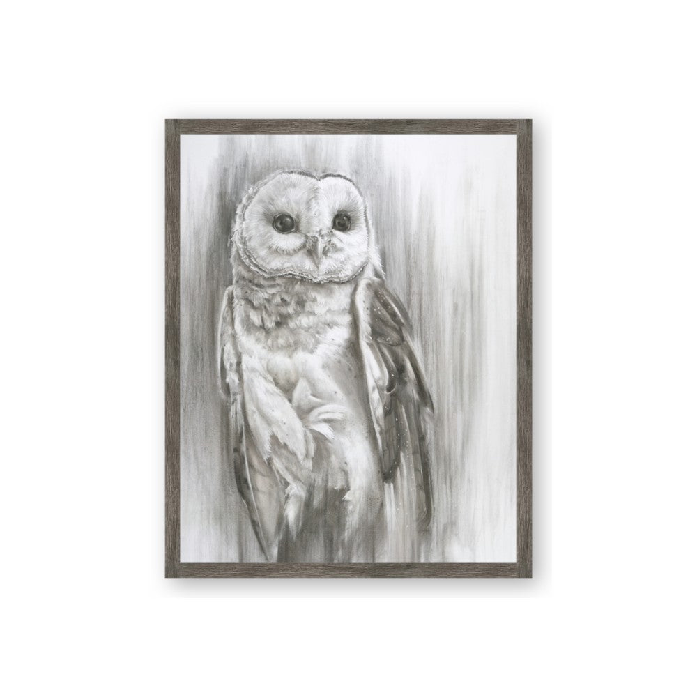 Living Owl
