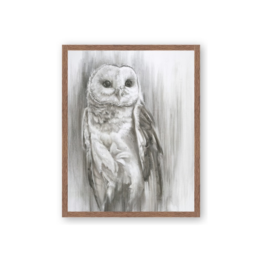 Living Owl