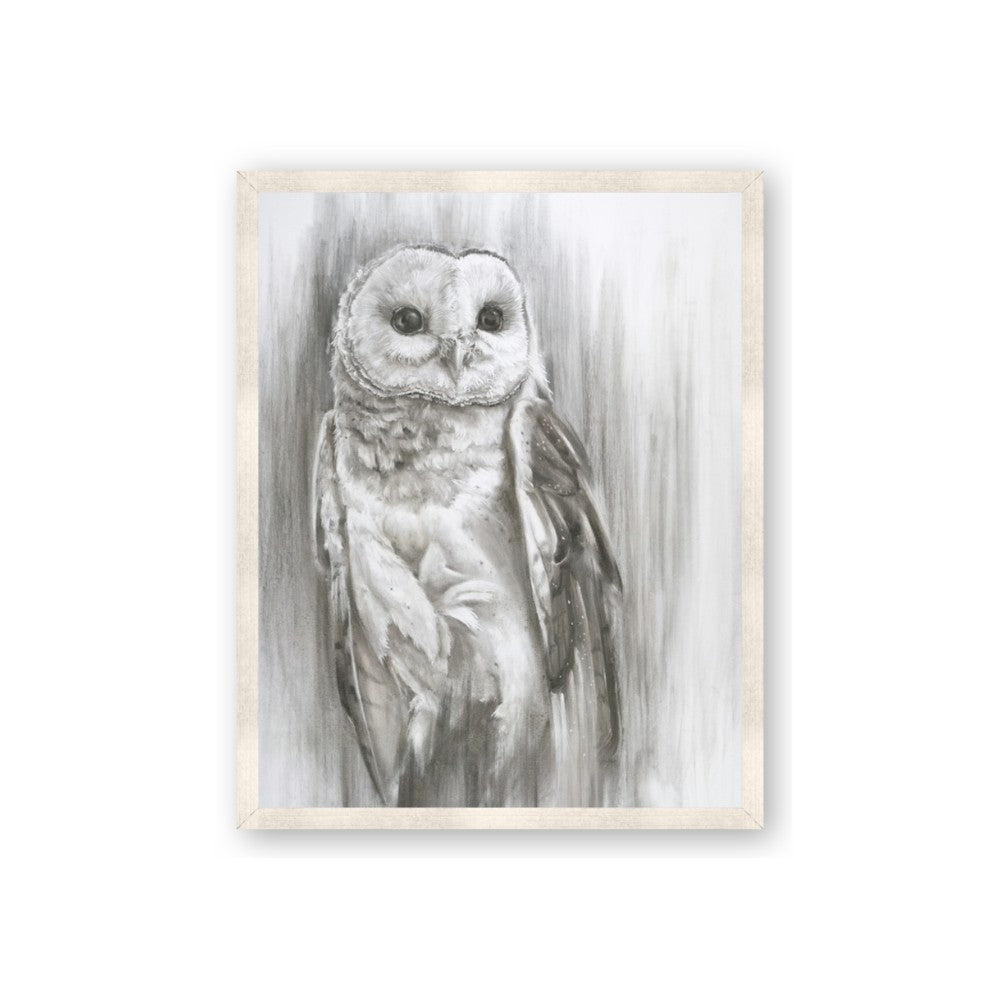 Living Owl