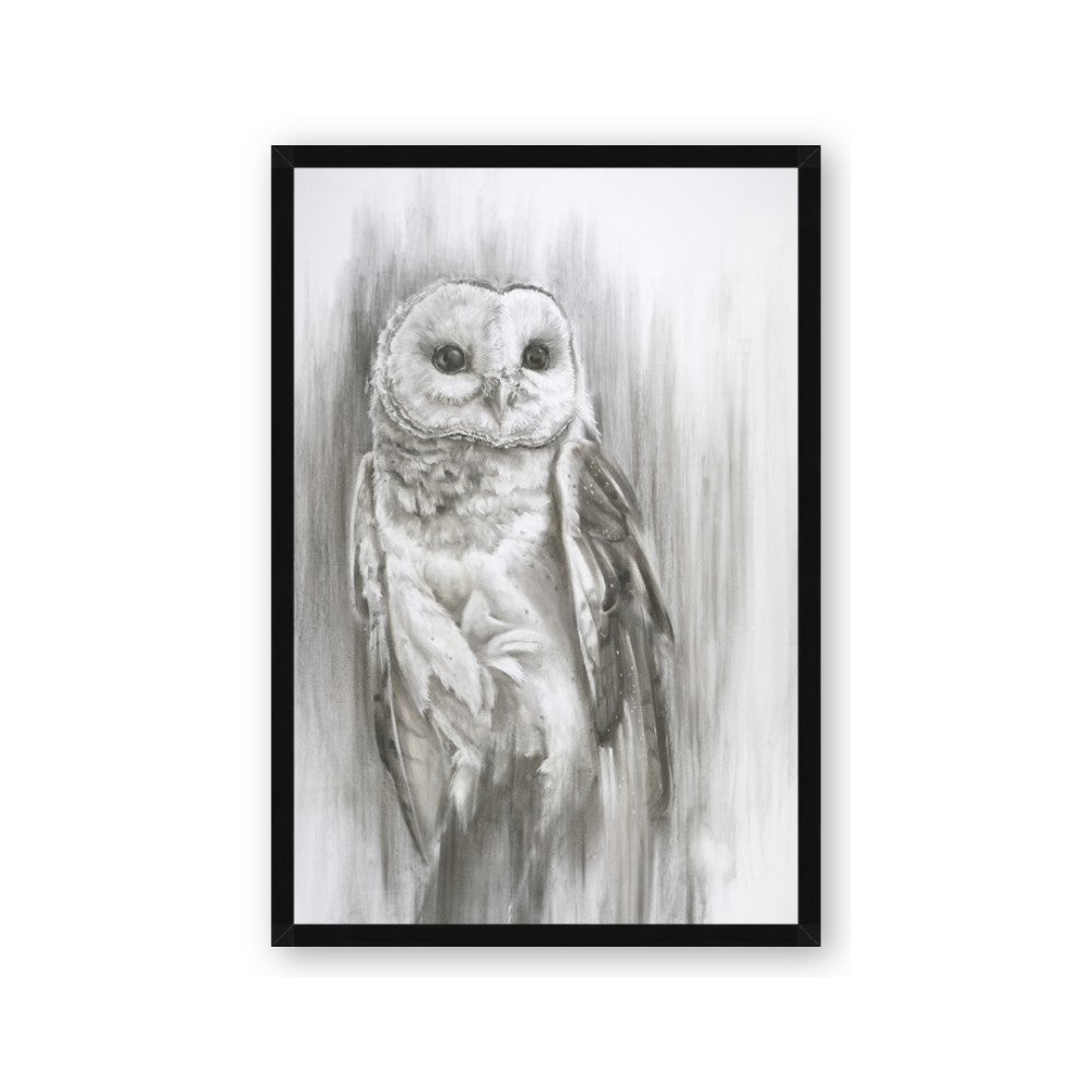 Living Owl