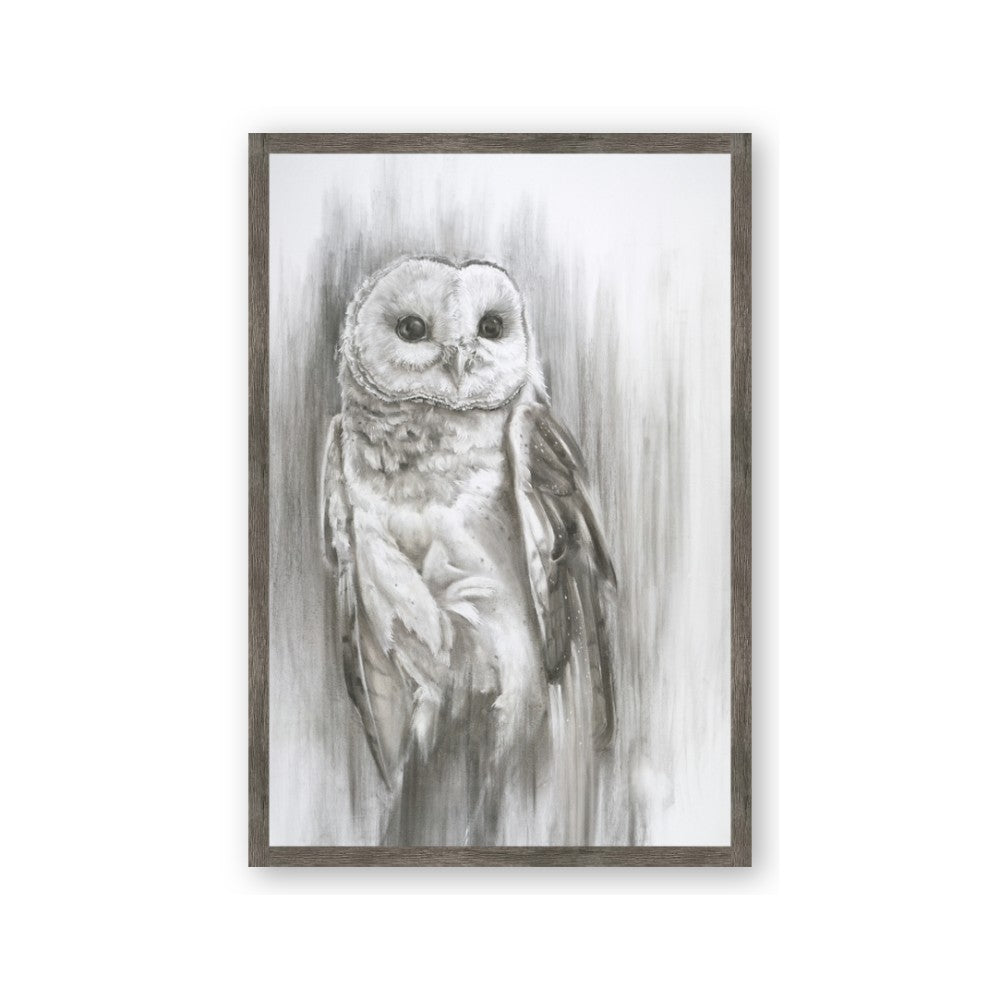Living Owl