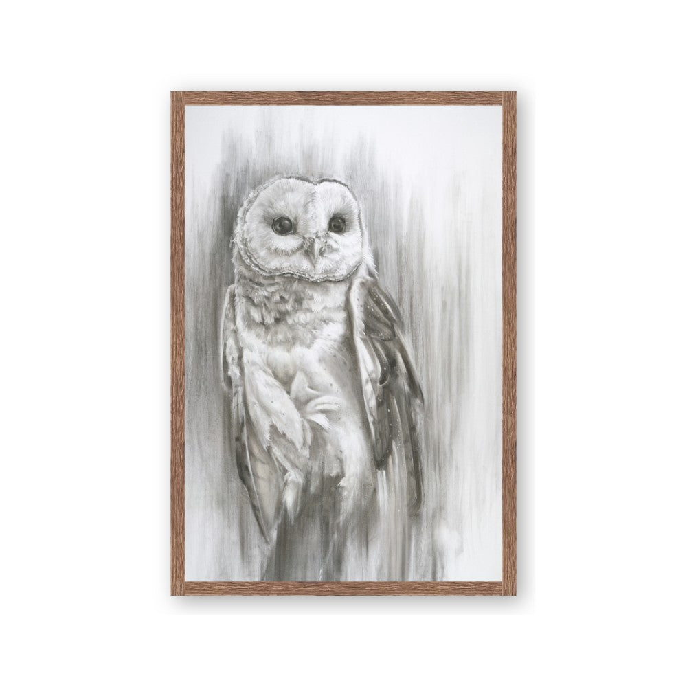 Living Owl