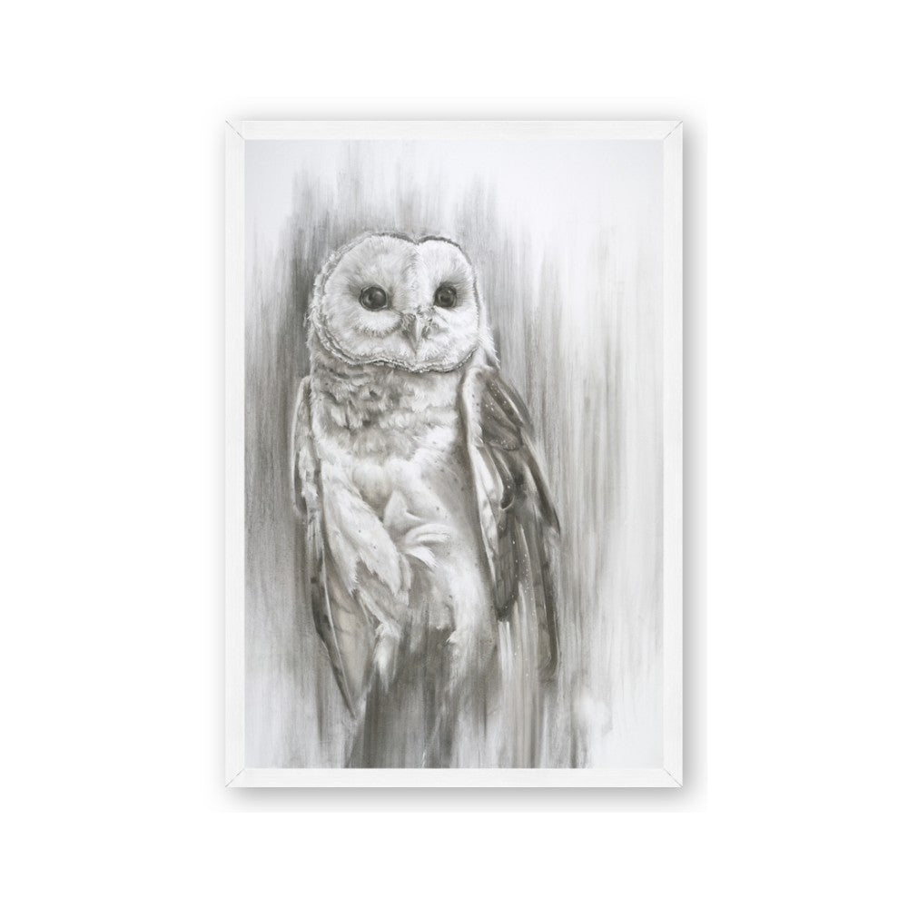 Living Owl