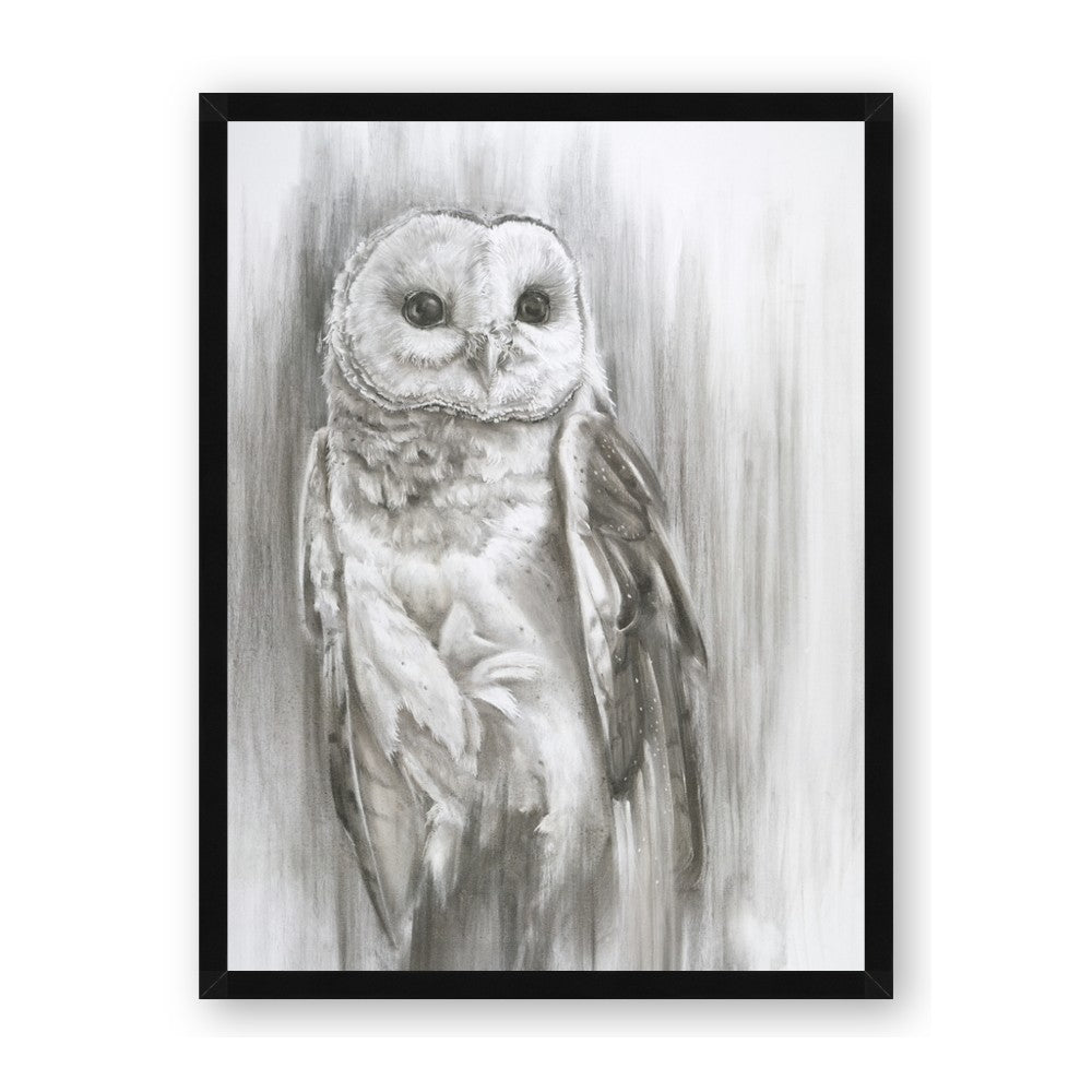 Living Owl