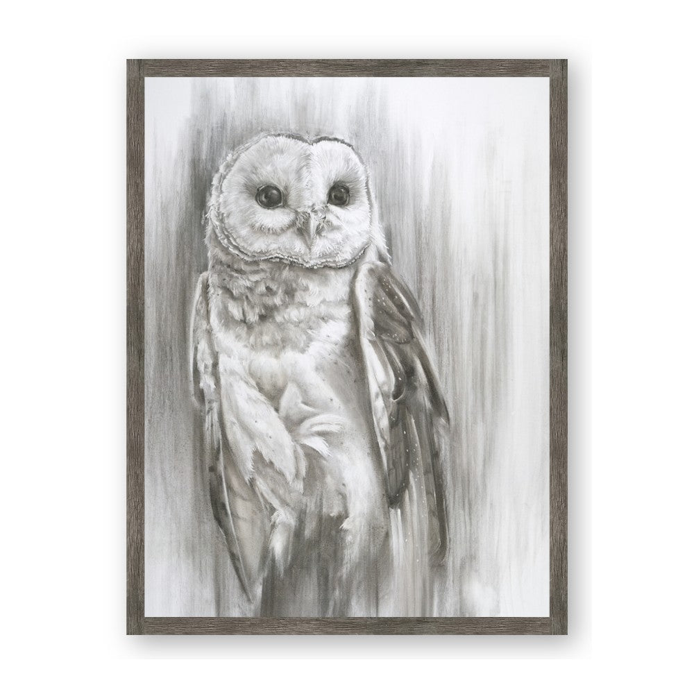 Living Owl