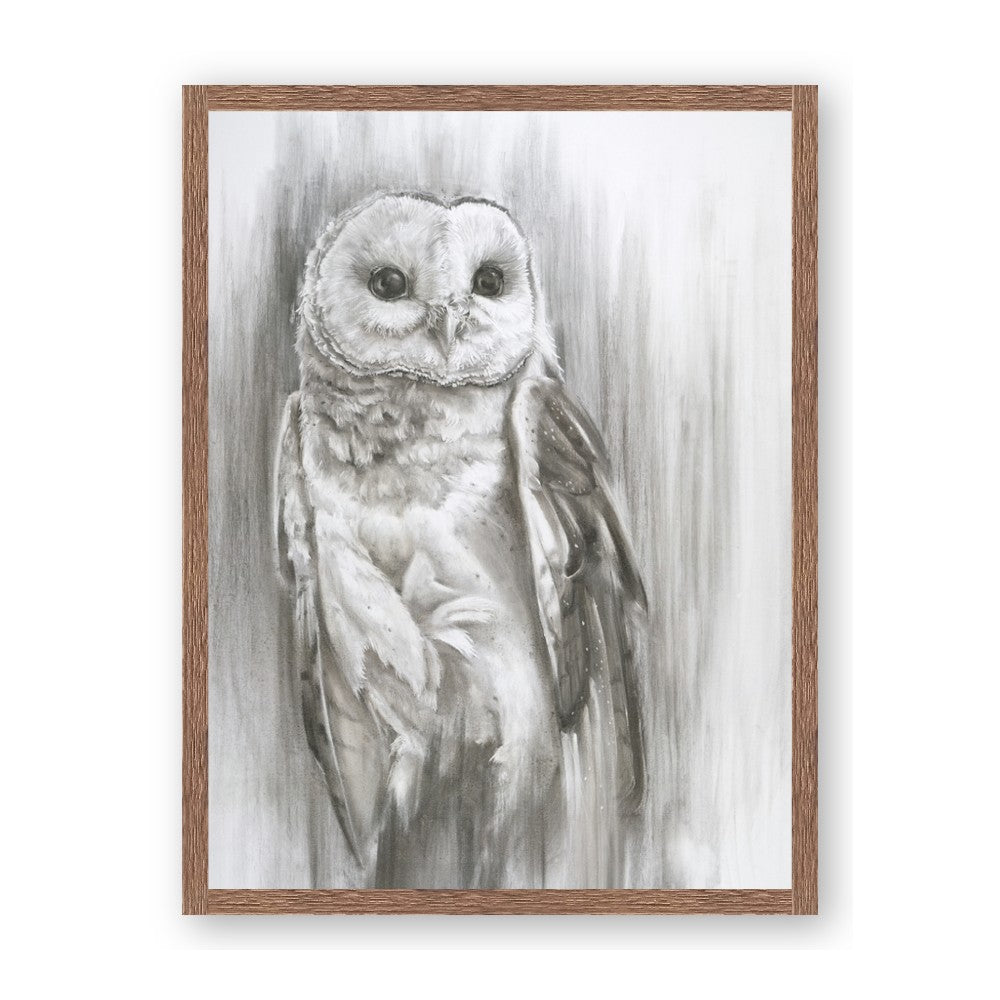Living Owl