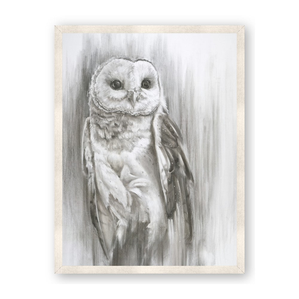 Living Owl