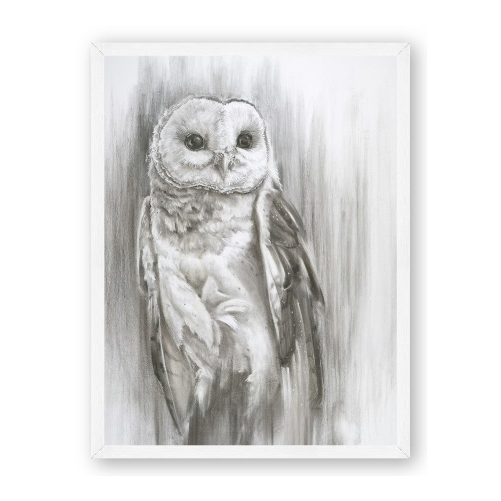 Living Owl