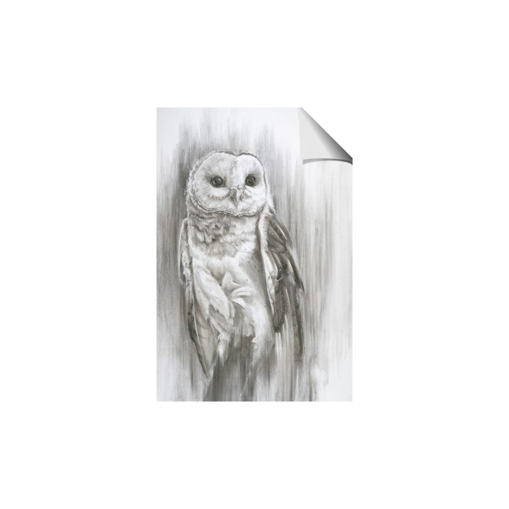 Living Owl