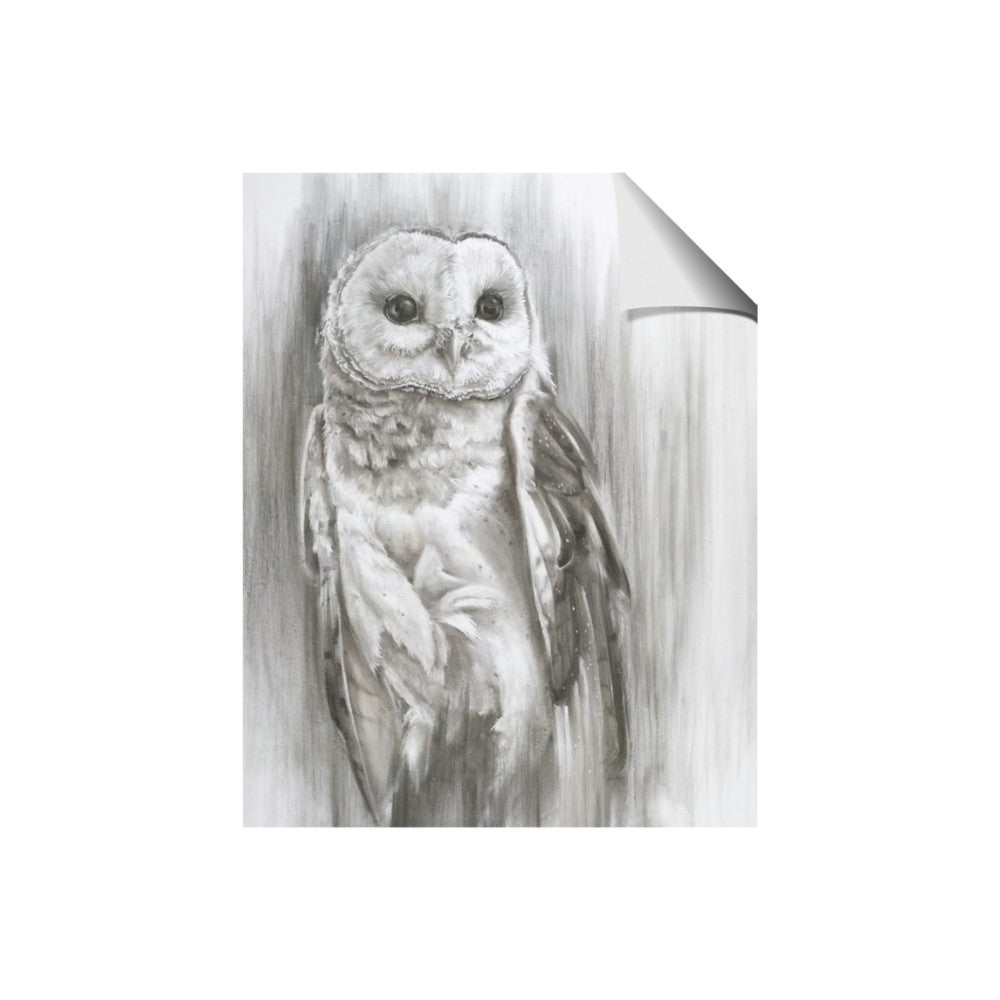 Living Owl
