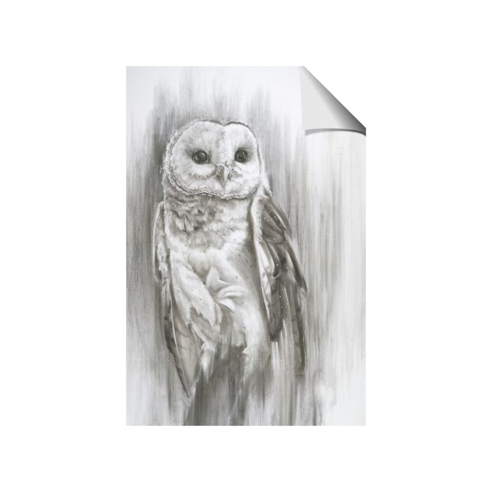 Living Owl