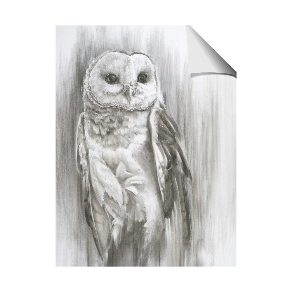 Living Owl