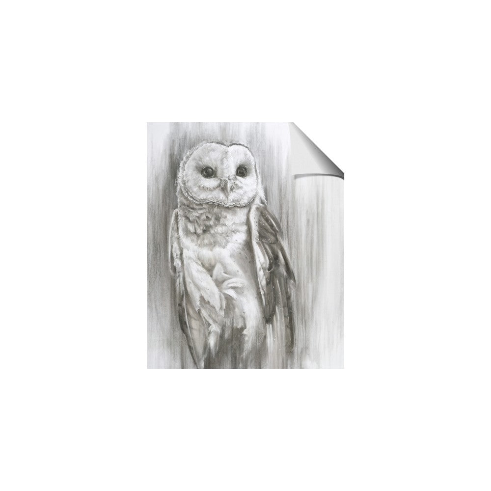 Living Owl