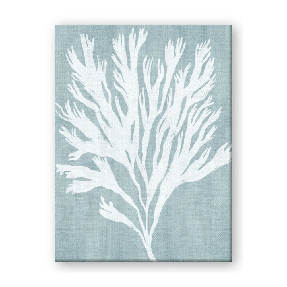 Coral Leaves II