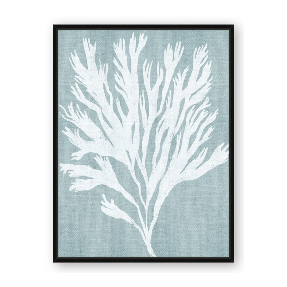 Coral Leaves II