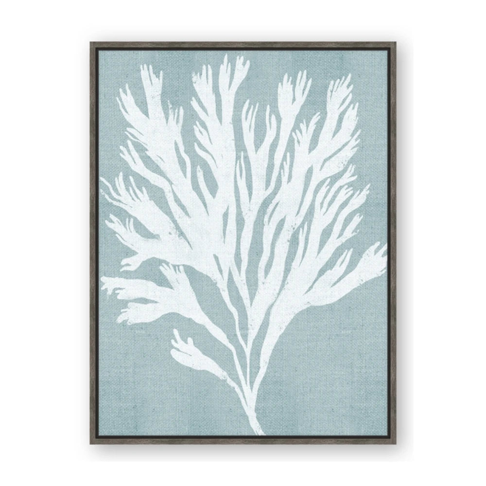 Coral Leaves II