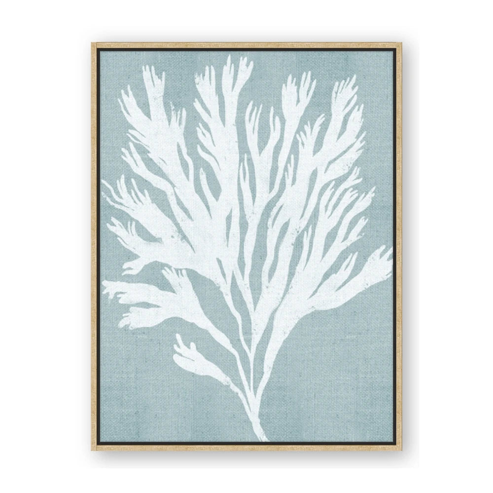 Coral Leaves II