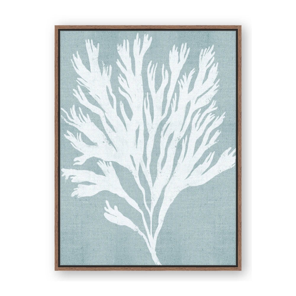 Coral Leaves II