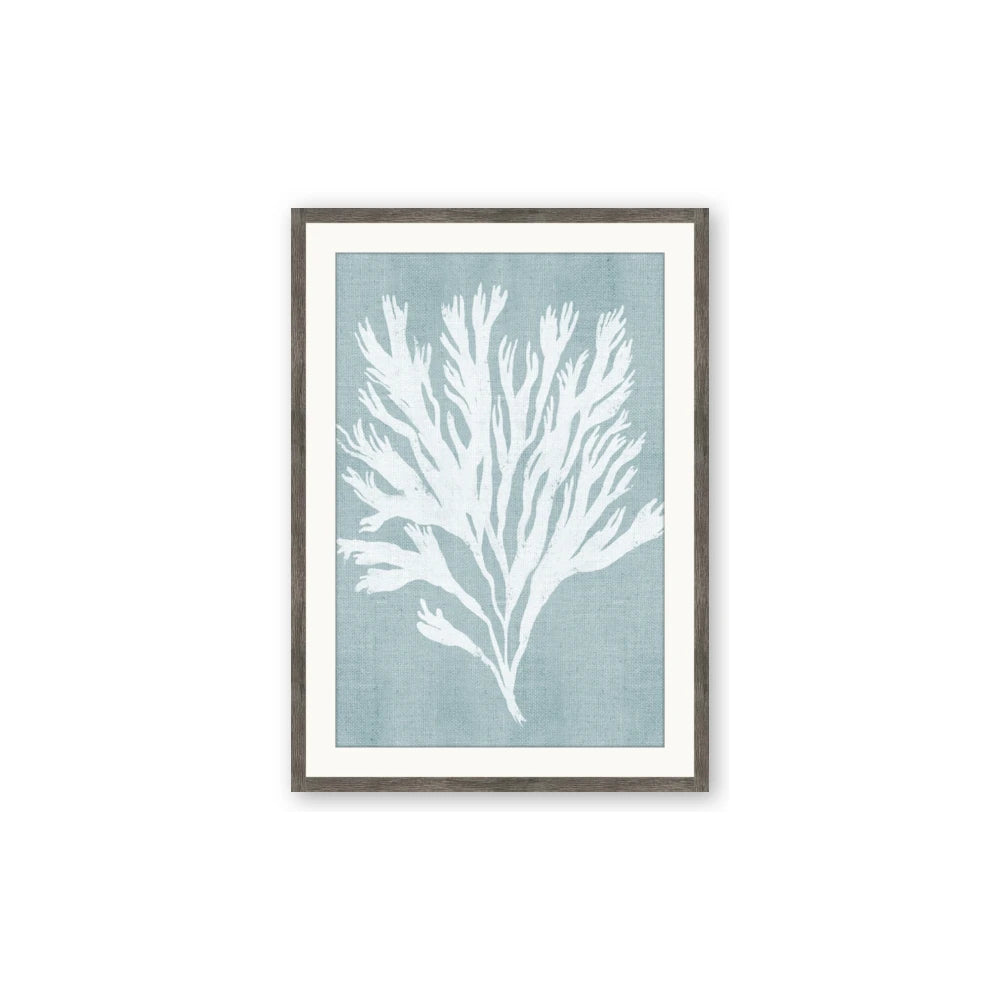 Coral Leaves II