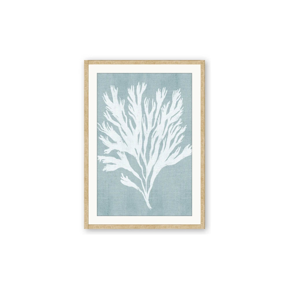 Coral Leaves II