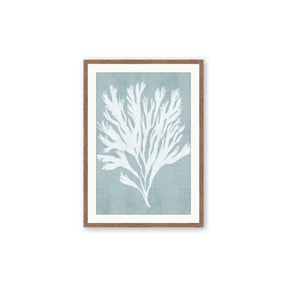 Coral Leaves II