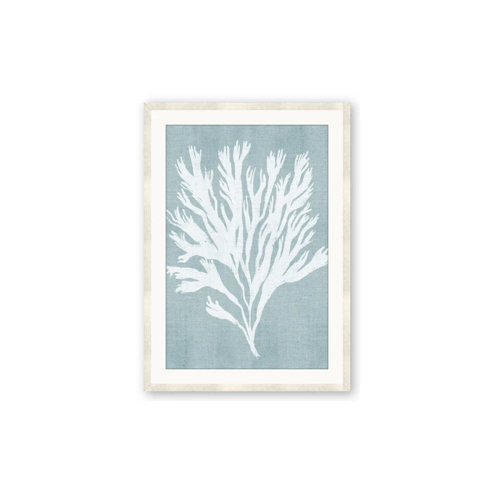 Coral Leaves II