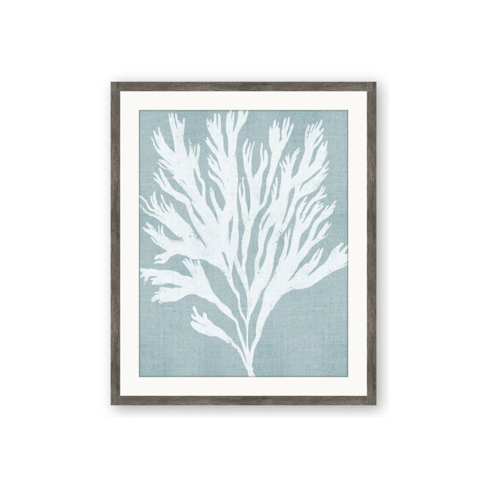Coral Leaves II