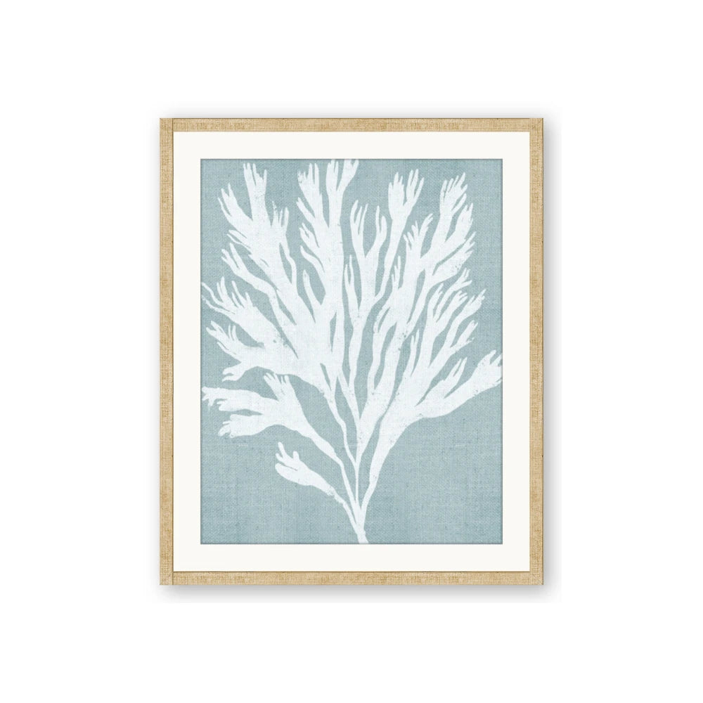 Coral Leaves II