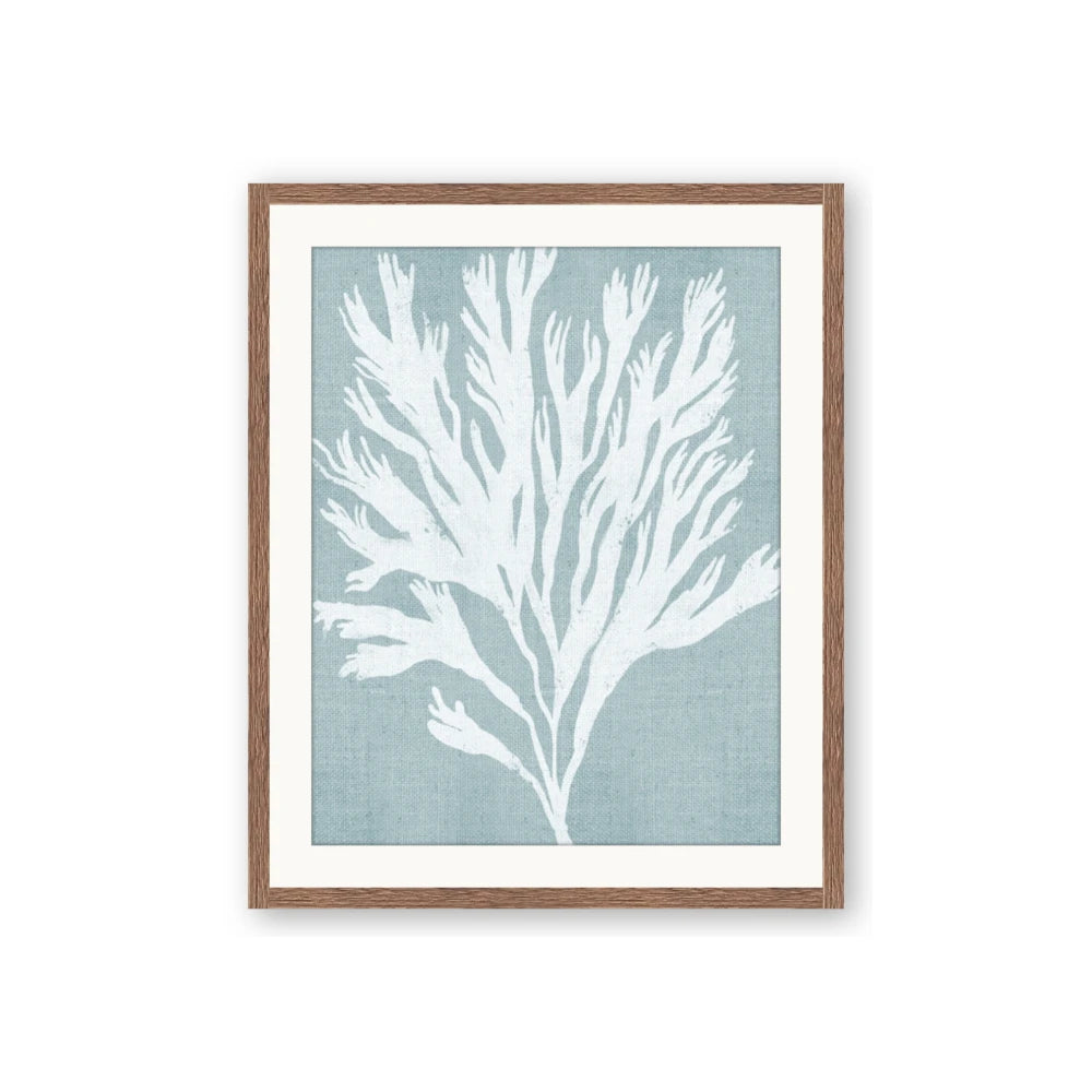 Coral Leaves II