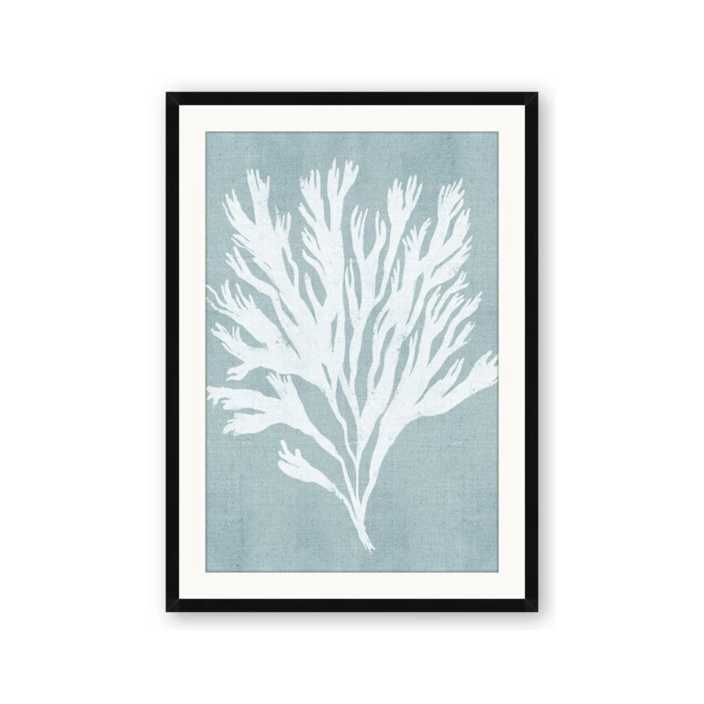 Coral Leaves II
