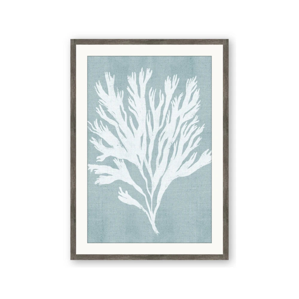 Coral Leaves II