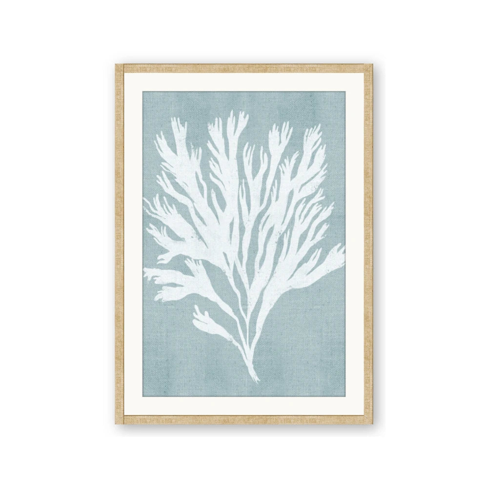 Coral Leaves II