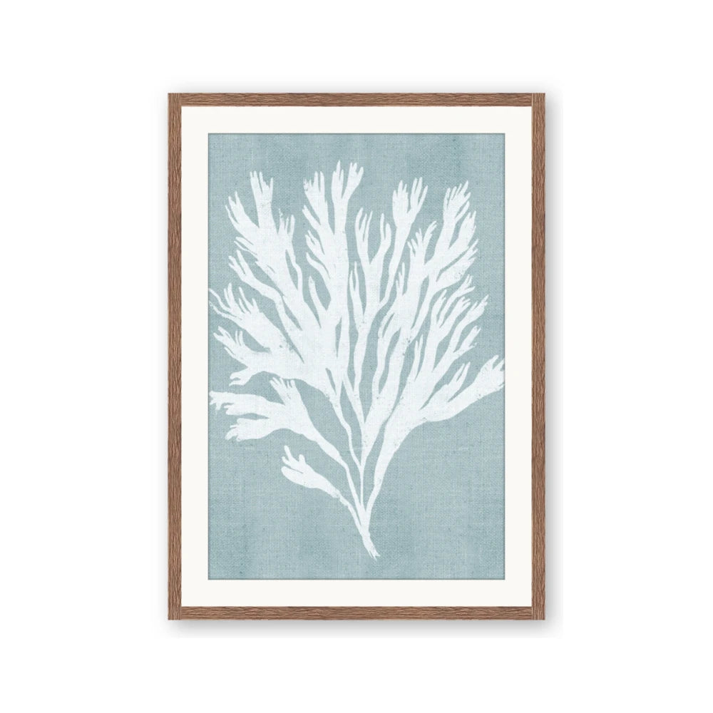 Coral Leaves II