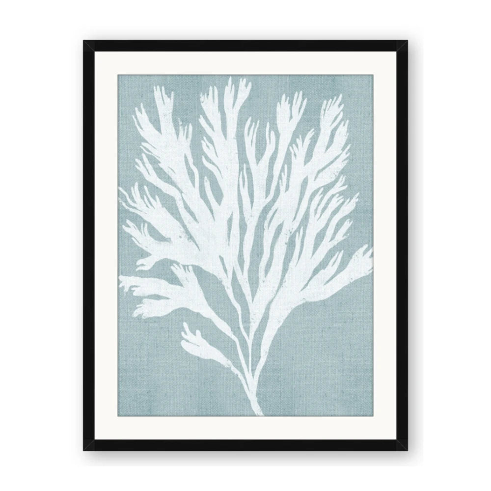 Coral Leaves II