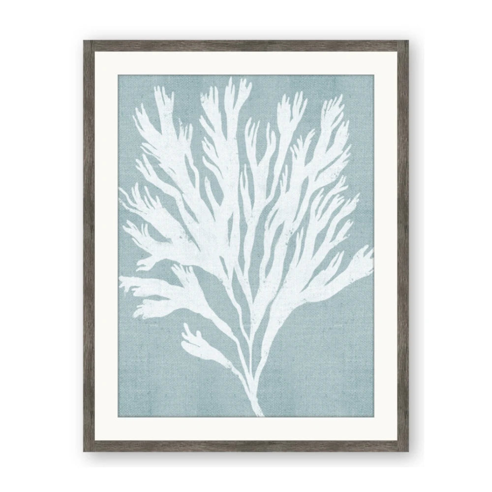 Coral Leaves II